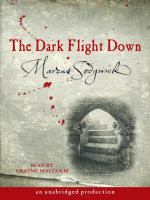 The_Dark_Flight_Down